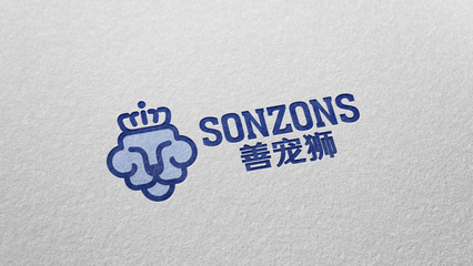 上海賽上品牌設(shè)計(jì)公司 以專業(yè)策劃重塑企業(yè)形象，賦能商業(yè)價(jià)值